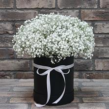 Цветочная композиция из Гипсофила в шляпной коробке в Елань-Коленовский